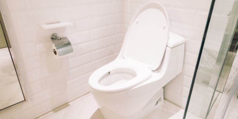 Como Desentupir Vaso Sanitário Que Caiu Objeto Dentro em Contagem: 4 Técnicas